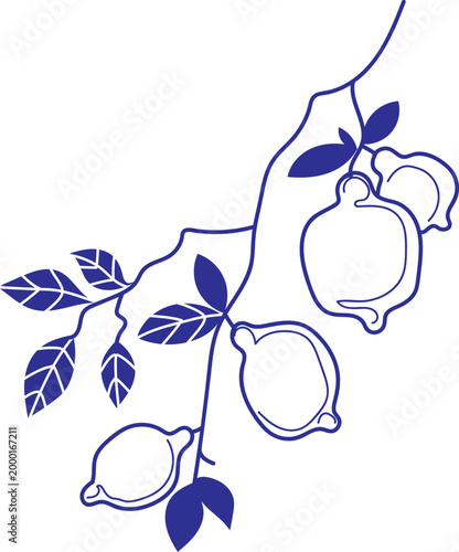 Lemon Branch
