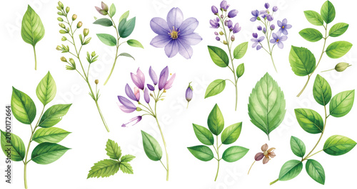 A colorful watercolor bouquet of blooming flowers with pink and purple petals on a clean white background