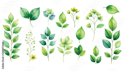 Vector illustration of green leaves and plants with fresh natural foliage in a decorative floral garden style