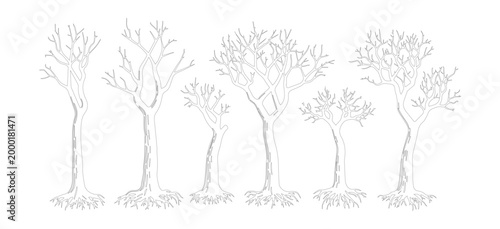 Hand drawn bare tree sketches, set of 6 minimalist winter tree vectors, leafless deciduous tree illustrations with roots, black and white nature elements