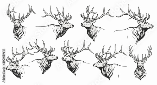 Collection of regal elk heads with impressive antlers, drawn in monochrome
