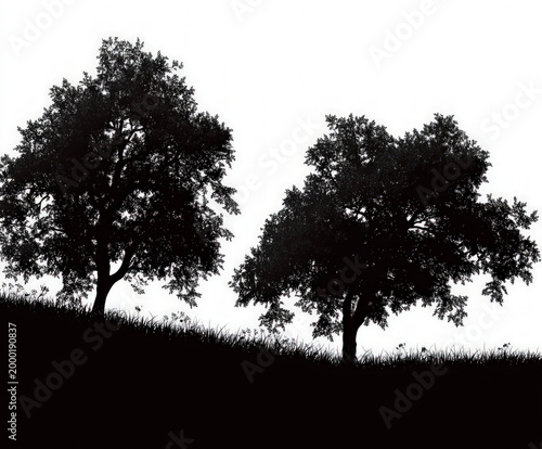 countryside silhouette , bl...