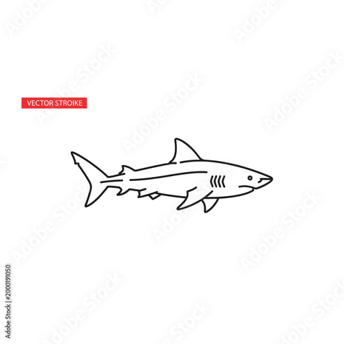 Outline drawing of a shark side profile with predator wildlife creature