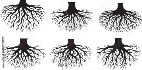 Tree Roots Silhouette Set – Underground Root System, Nature Black Vector Illustration Collection