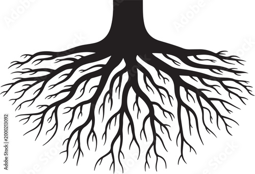 Tree Roots Silhouette – Underground Root System, Nature Black Vector Illustration