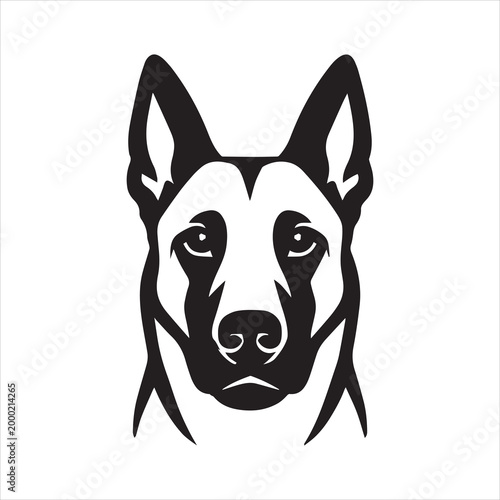 Photos Black vector silhouette of belgian malinois head
