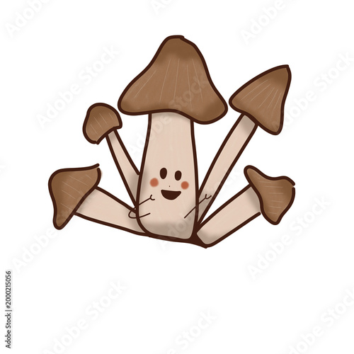 Photos mushrooms illustration