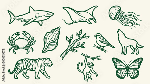 Bilde på lerret A collection of hand-drawn illustrations featuring various animals, plants, and natural elements in a whimsical, sketchy style
