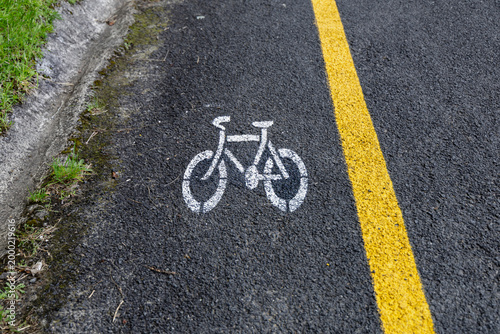 Bicycle Symbol Painted Asphalt Lane Beside Grass