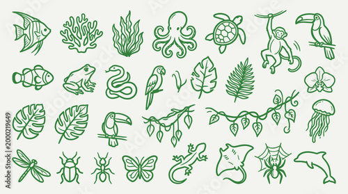 A collection of hand-drawn green illustrations of various jungle and ocean creatures, plants, and natural elements.