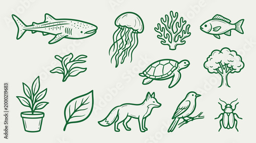A collection of hand-drawn illustrations featuring various elements of nature, including marine life, terrestrial animals, plants, and trees.