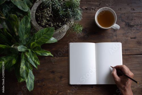 Hand holding a pencil with a blank notebook. Clean notebook. Concept: new beginning, daily habits. Morning.
