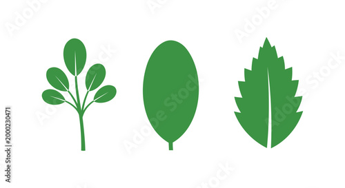 Green leaf icons, vector foliage symbols, plant leaves, eco friendly graphics