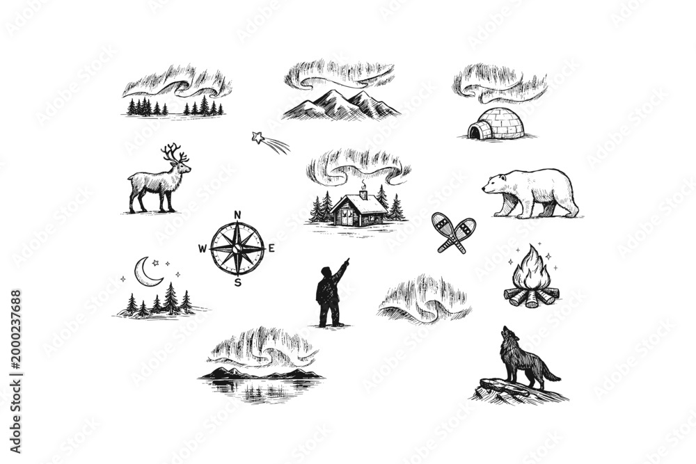 Fototapeta premium Collection of hand-drawn illustrations depicting arctic and northern wilderness scenes