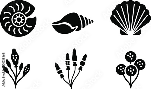 Black Sea Shells and Marine Nature Silhouettes Collection Isolated on White Background Vector Illustration Set