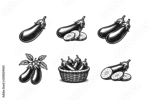 Collection of vintage style eggplant illustrations in various arrangements