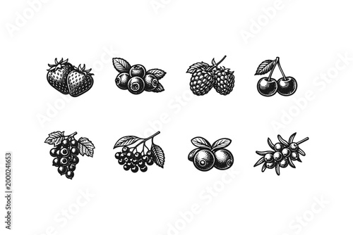 Collection of hand-drawn berries including strawberries, blueberries, raspberries, and cherries