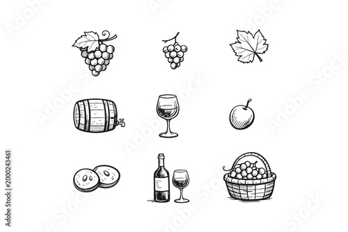 Hand-drawn collection of wine and fruit elements for culinary and beverage themes