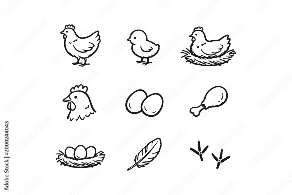 Fototapeta premium Collection of simple hand-drawn chicken and farm icons on a white background