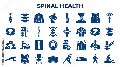 Spinal health and wellness icons representing anatomy, treatment, and exercise for back care and physical therapy concepts