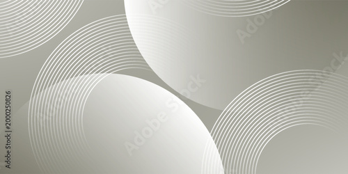 Abstract Silver Geometric Background with Circular Lines and Soft Gradients, Modern Minimalist Vector Backdrop for Tech Industry, Corporate Presentation and Professional Banner