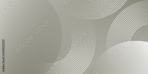 Abstract Silver Geometric Background with Circular Lines and Soft Gradients, Modern Minimalist Vector Backdrop for Tech Industry, Corporate Presentation and Professional Banner