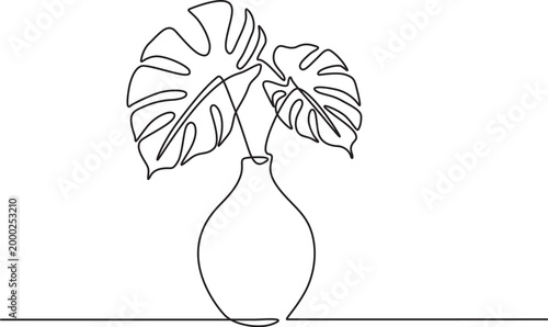 Monstera leaves in vase continuous line art botanical illustration