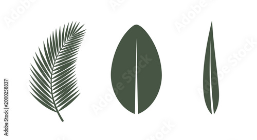 Dark green leaf icons, tropical palm frond, foliage symbols, eco friendly graphics
