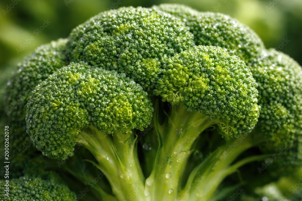 Naklejka premium Intense close-up view of healthy broccoli crown