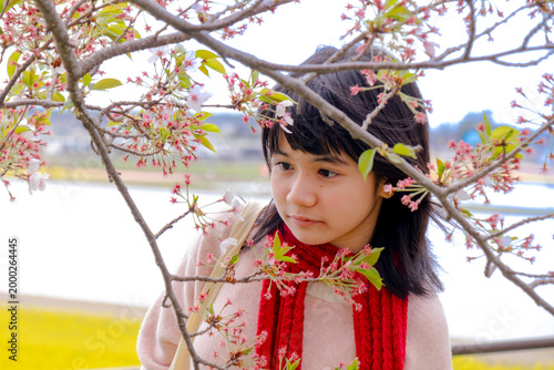 Young Woman Among Cherry Blossoms