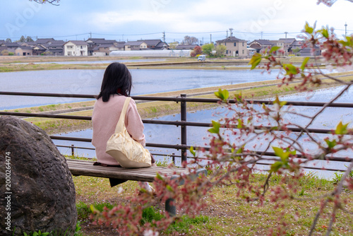 Woman Sitting on Bench with Cherry Blossoms