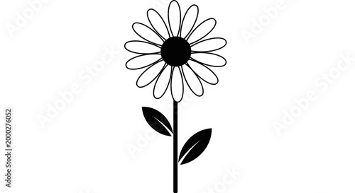 Black and white daisy illustration against white background floral design
