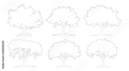Minimalist tree line art collection, set of 6 deciduous tree outline vectors, simple black and white botanical sketches for landscape design