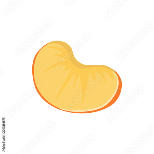 Fresh Apricot Fruit Wedge Slice