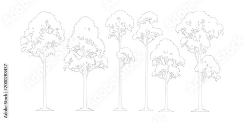 Foto Minimalist line art tree collection, set of 6 architectural tree outlines, black