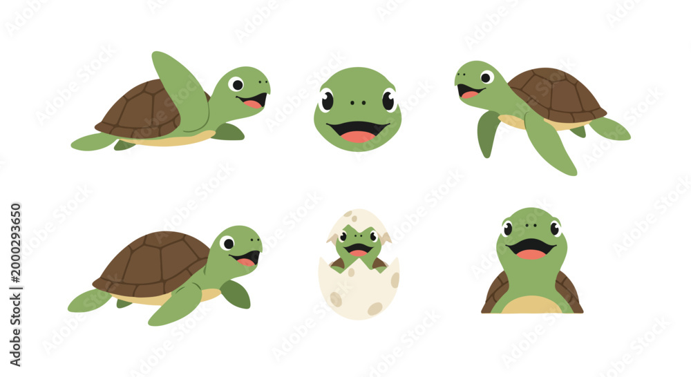 Obraz premium A minimal flat vector illustration of a smiling turtle with a patterned shell, soft tones, no outlines, on white.