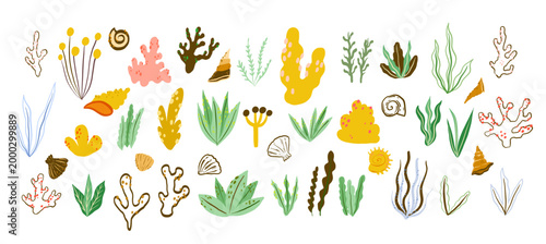 Large Set of Underwater Algae and Coral Elements for Baby Shower Decor Hand Drawn Sea Plants and Shells for Children Graphic Design Isolated on White