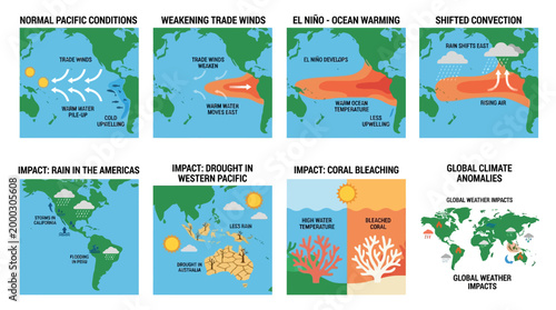 El Niño climate phenomena illustrated, showing ocean warming, trade winds, convection, and global weather impacts
