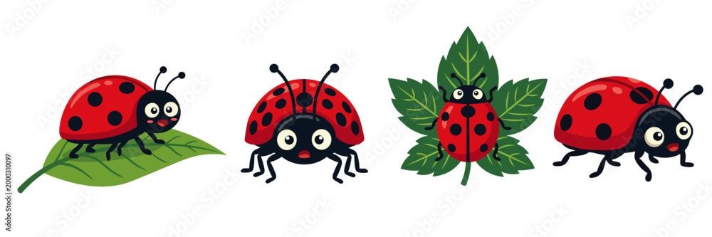 Fotografie Cute Ladybug Cartoon Set on Leaf and Garden Theme