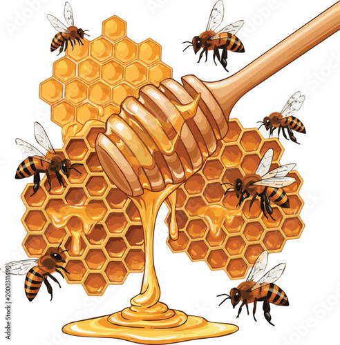 bees on honeycomb