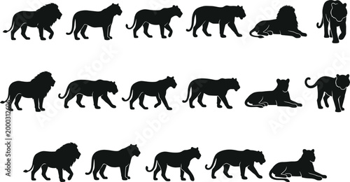 Lion and lioness silhouette illustration set, wildlife vector design showing animal posture, safari nature, strength, and conservation themes