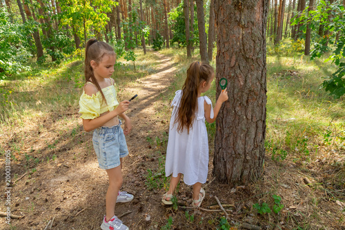 Two children in summer looking examining tree bark through magnifying glass while exploring forest nature and environment on sunny day