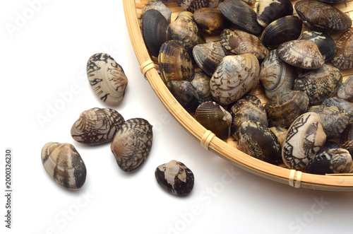 アサリ　食材　白バック