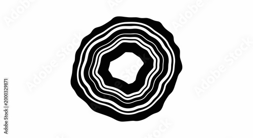 Black and White Agate Slice.