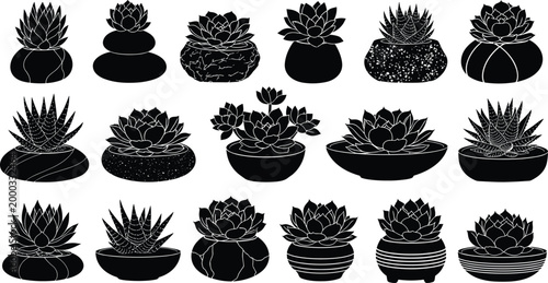 Potted Succulent Silhouette Vector Set, Minimalist Cactus and Echeveria Icons in Decorative Pots, Indoor Houseplant Graphics for Home Decor, Botanical Plant Illustration