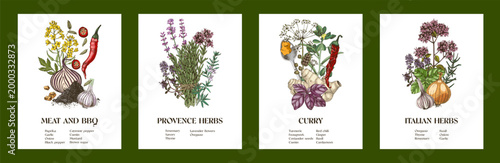 Hand drawn vector collection of classic spice blends