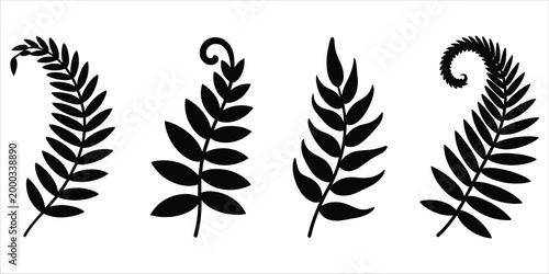 Bild auf Leinwand Fern Leaf Silhouettes Various Frond Shapes and Styles vector untitled