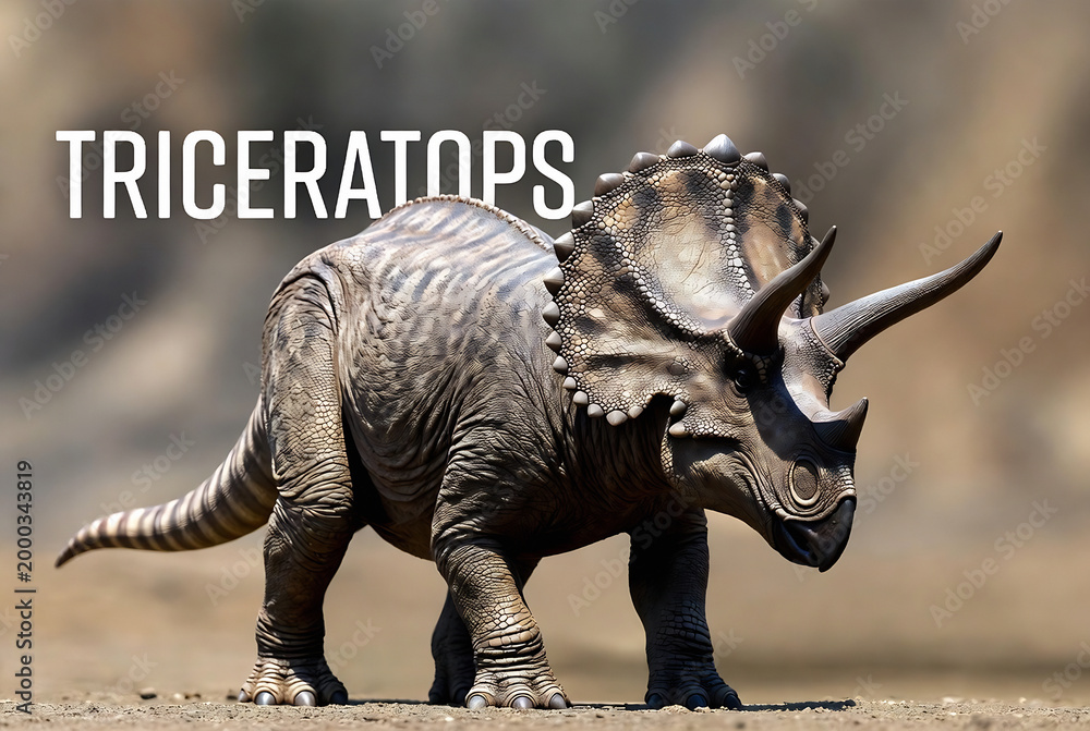 Fototapeta premium Subject: A triceratops dinosaur model. Action: Standing on a rocky outcrop. Setting: An arid landscape resembling a prehistoric environment.