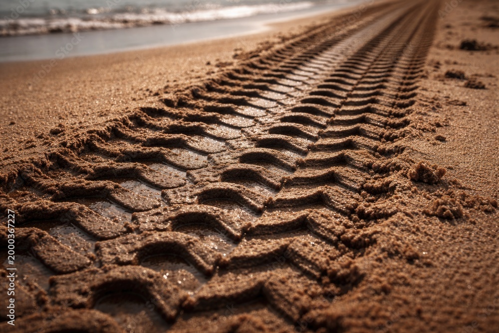 Naklejka premium Close up of vehicle tire tracks on wet sandy beach surface