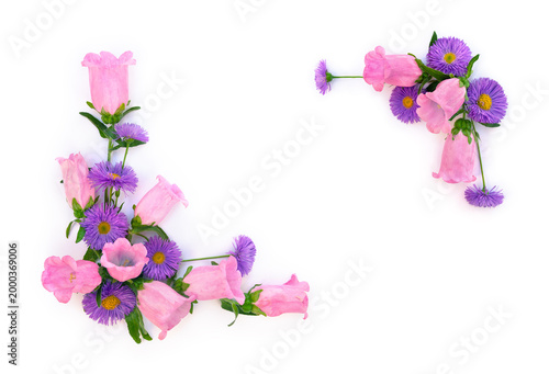 Pink bellflower (Campanula) and purple China aster (Callistephus chinensis) frame on white background with copy space. Flat lay, top view